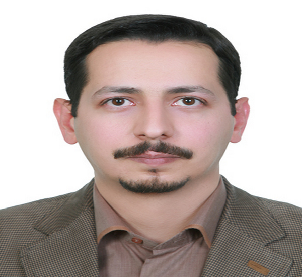 حامد دهقانپور